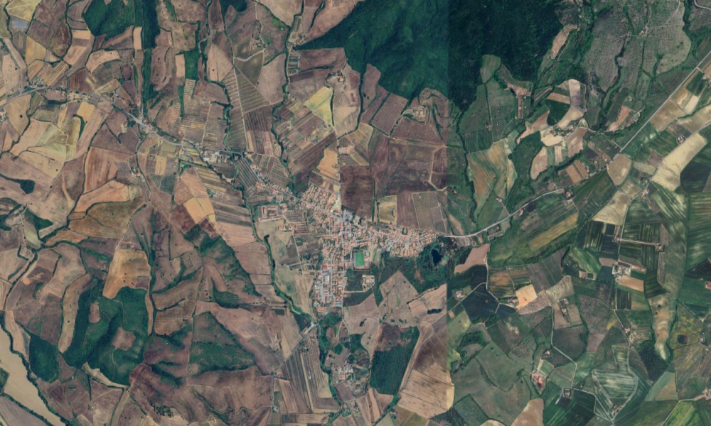 immagine annuncio 5 di 13