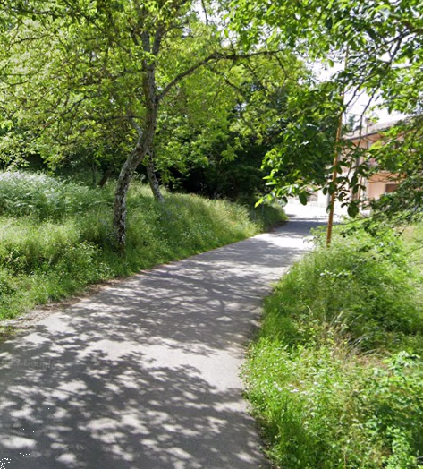 immagine annuncio 2 di 13