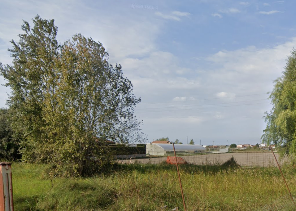 immagine annuncio 6 di 13