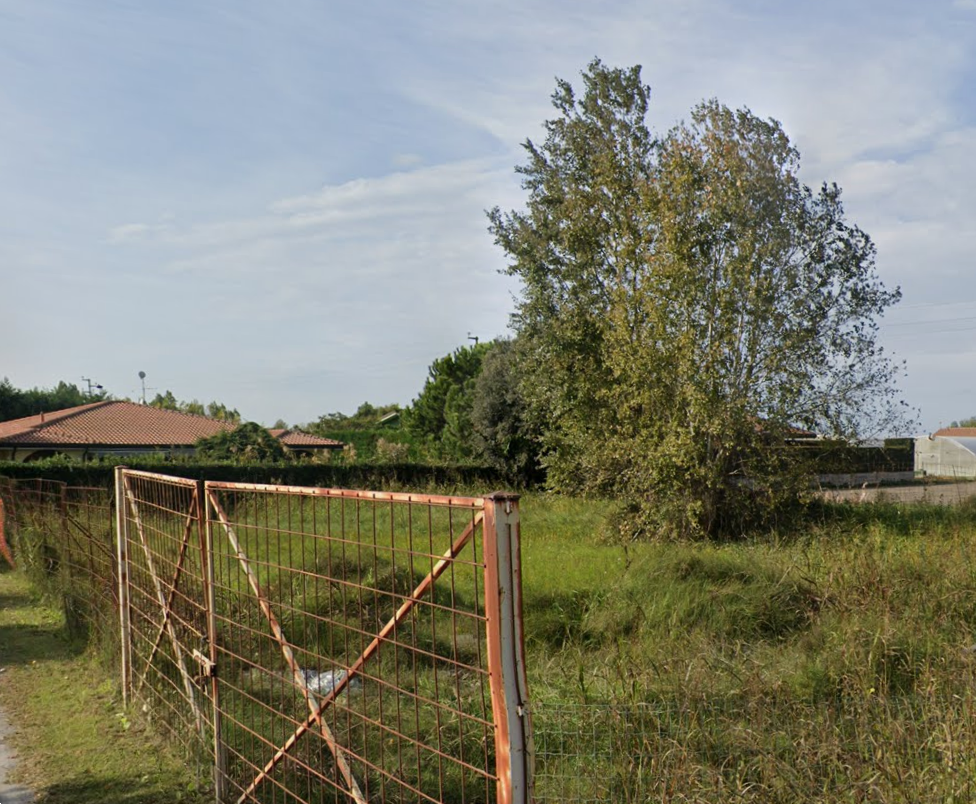 immagine annuncio 7 di 13