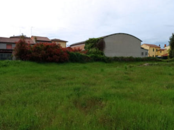 immagine annuncio 3 di 13