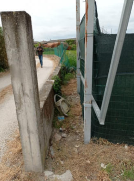 immagine annuncio 5 di 13