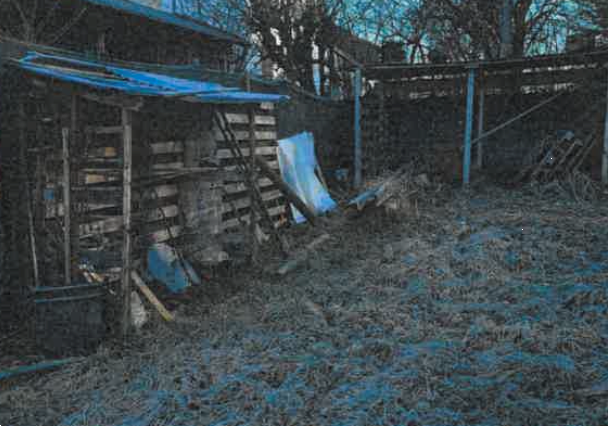 immagine annuncio 7 di 13