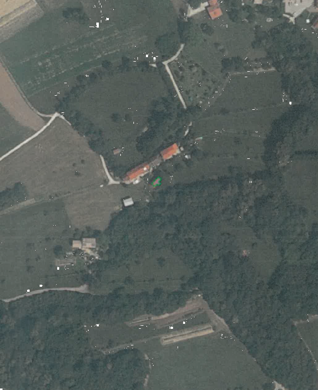 immagine annuncio 12 di 13