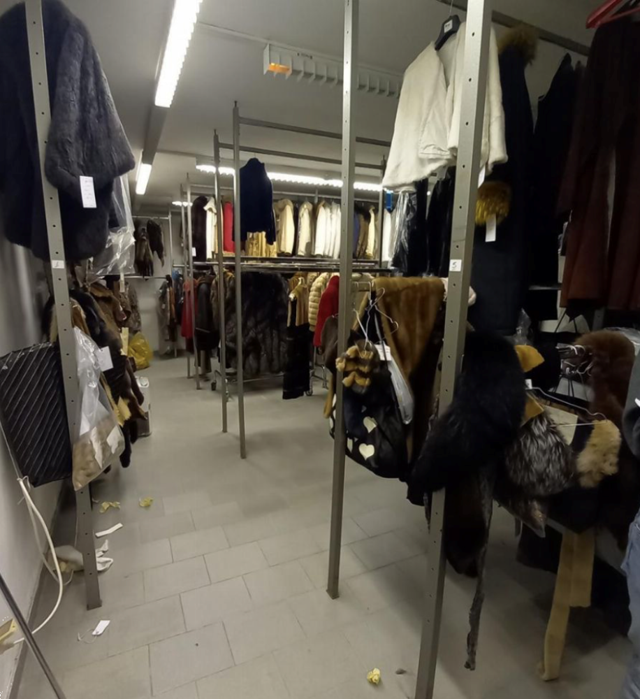 immagine annuncio 12 di 13