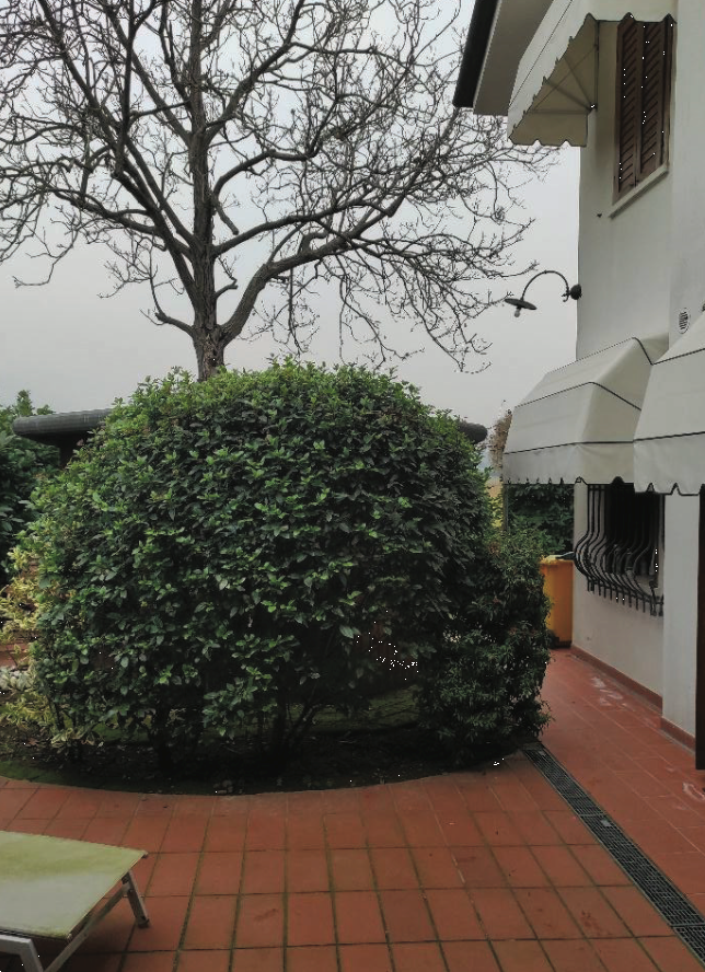 immagine annuncio 3 di 13