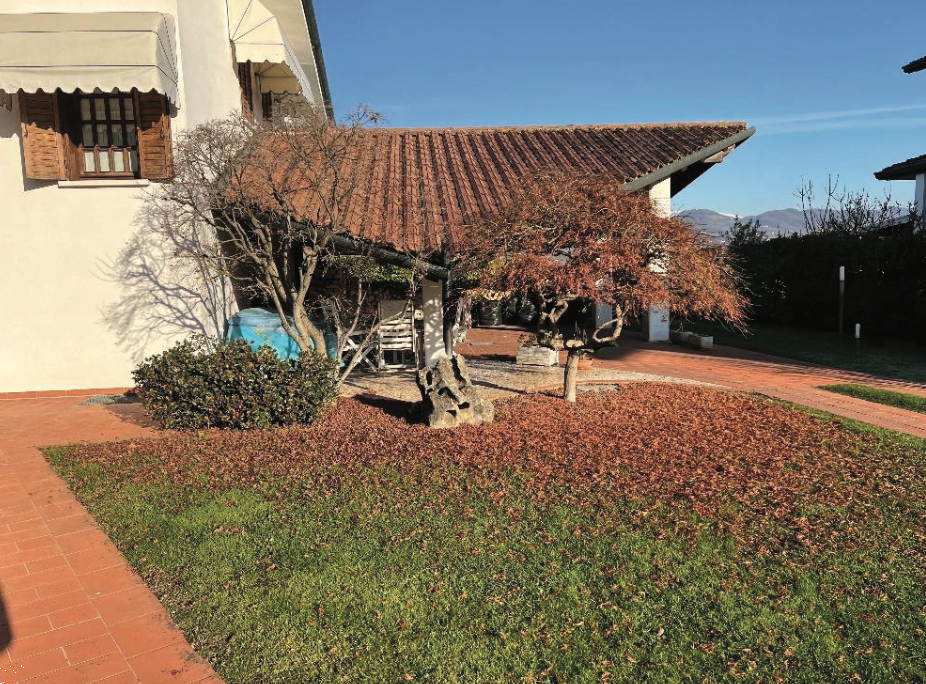 immagine annuncio 6 di 13