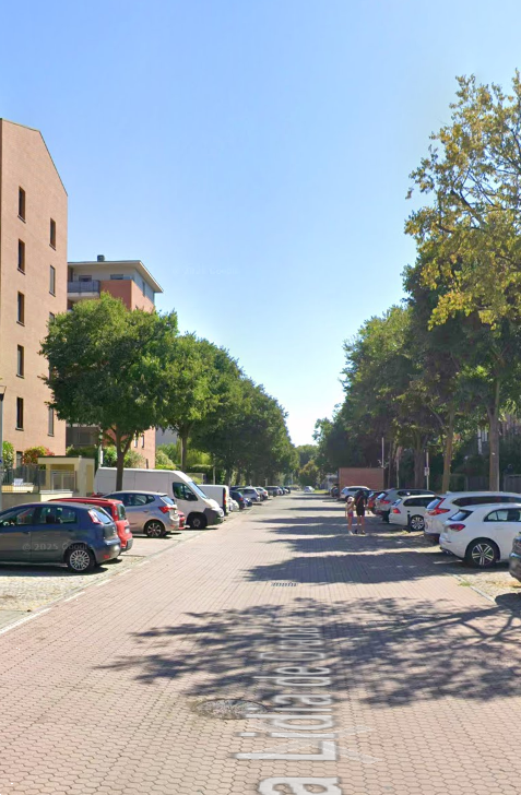 immagine annuncio 3 di 10