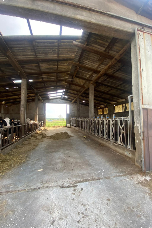 immagine annuncio 8 di 13