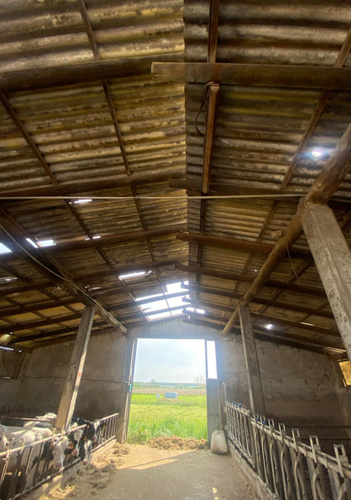 immagine annuncio 10 di 13