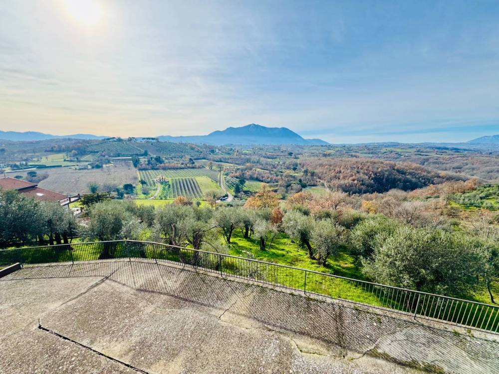 immagine annuncio 4 di 13