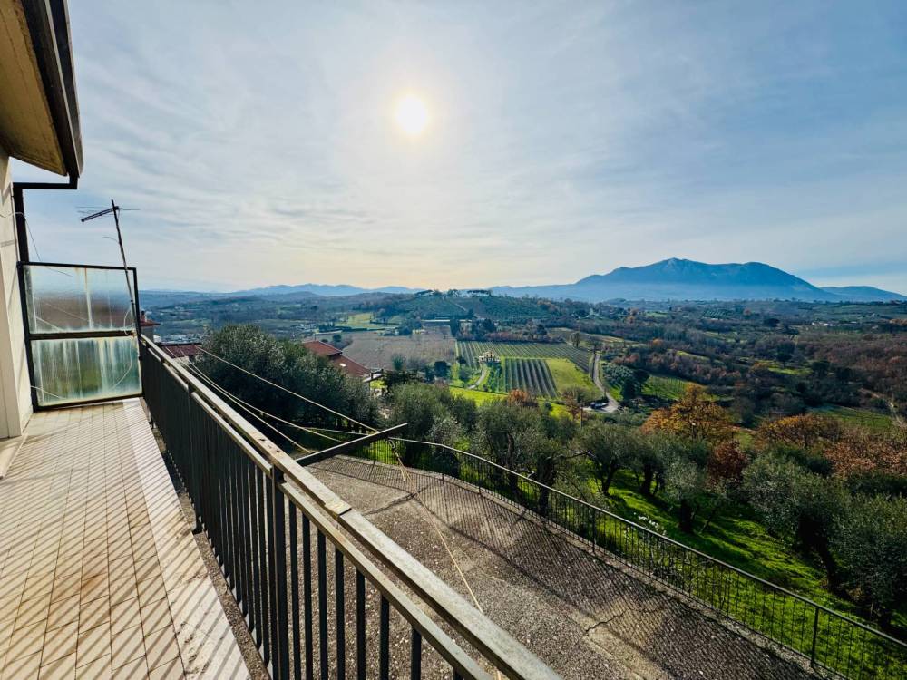 immagine annuncio 6 di 13