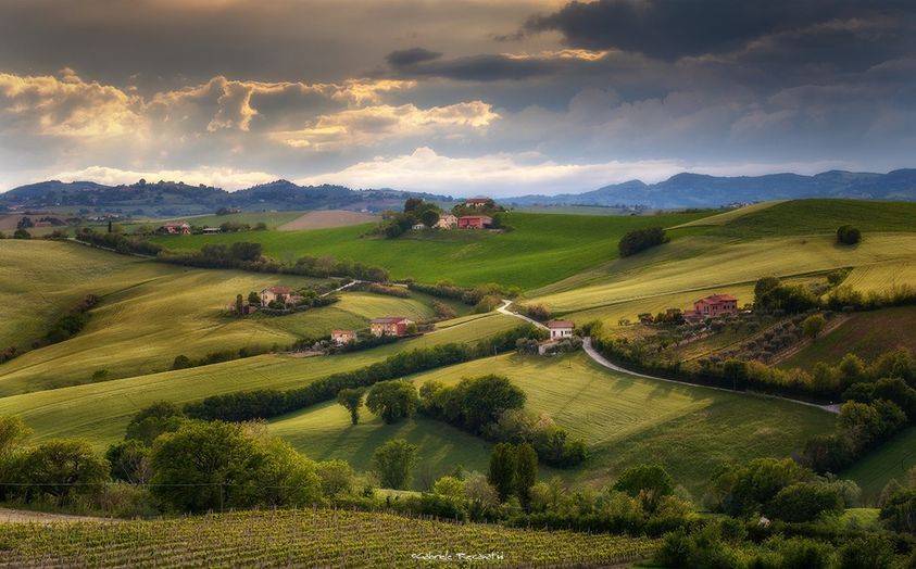 immagine annuncio 8 di 12