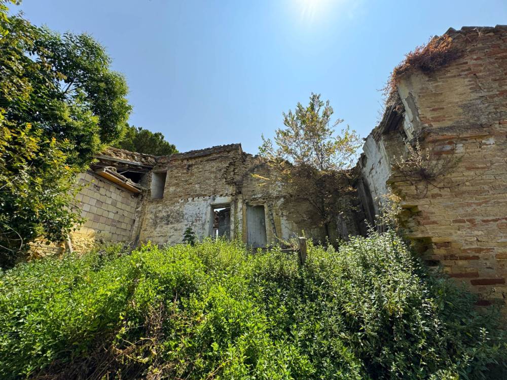 immagine annuncio 2 di 12