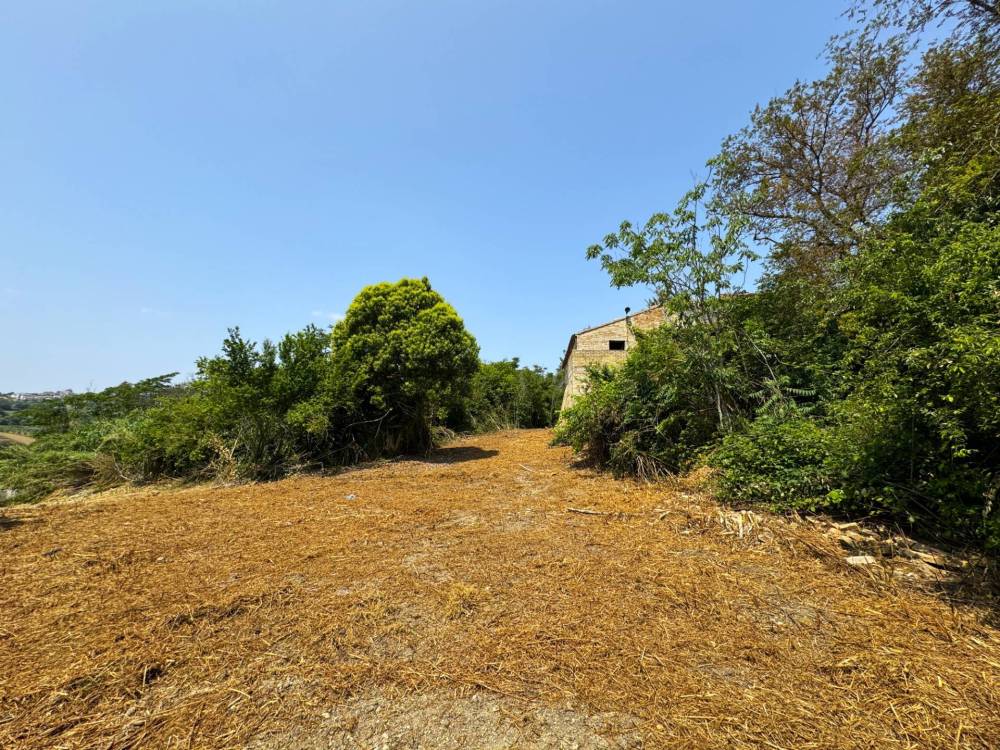 immagine annuncio 4 di 12