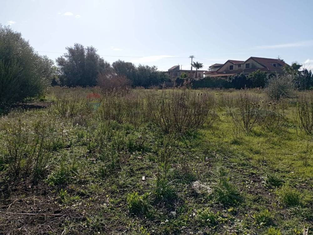 immagine annuncio 7 di 13