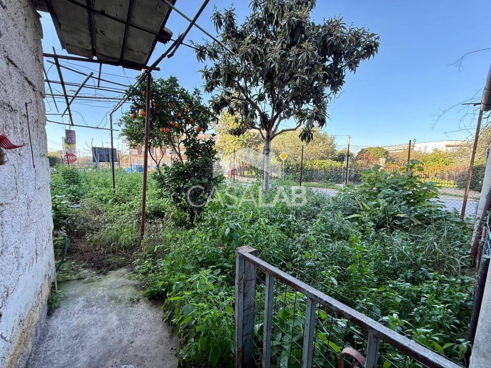 immagine annuncio 4 di 13