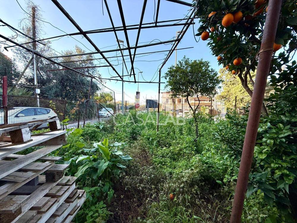 immagine annuncio 12 di 13