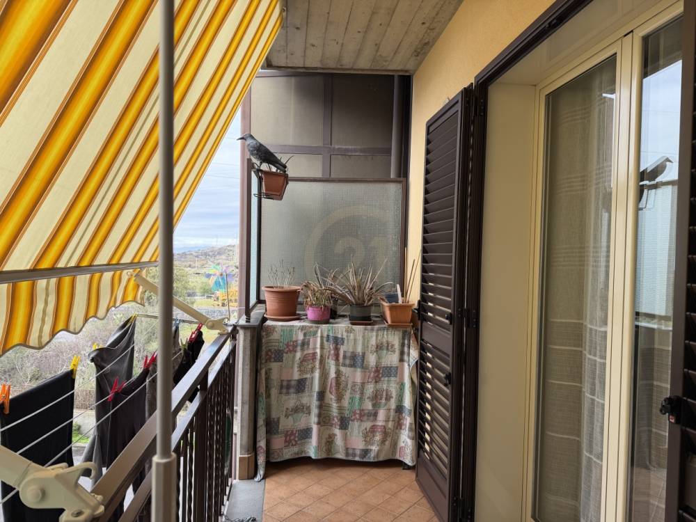 immagine annuncio 7 di 13