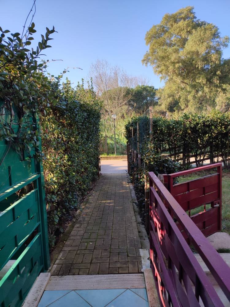 immagine annuncio 6 di 8