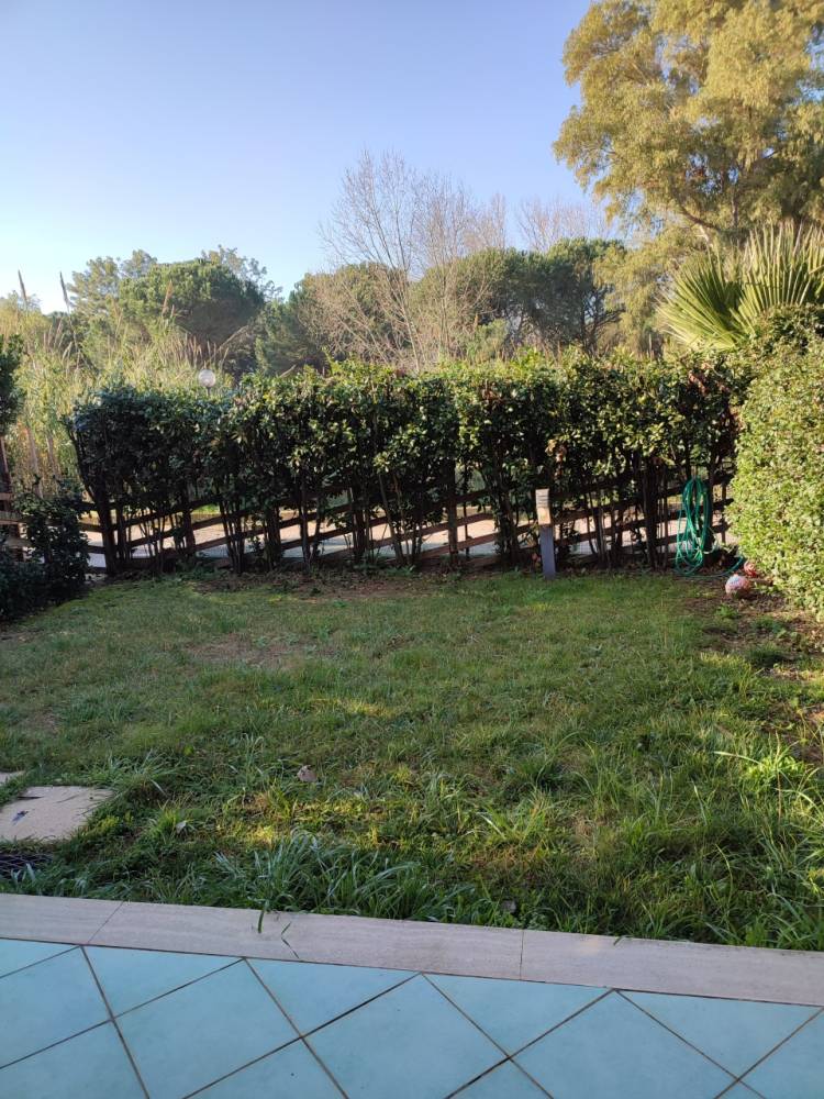 immagine annuncio 2 di 8