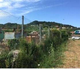 immagine annuncio 4 di 7