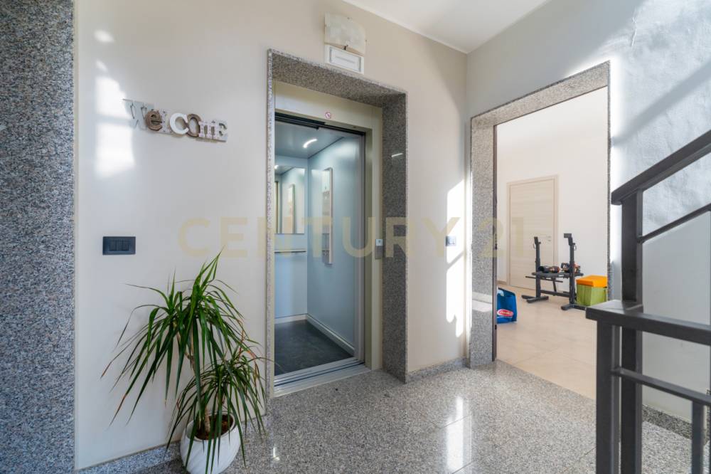 immagine annuncio 10 di 13