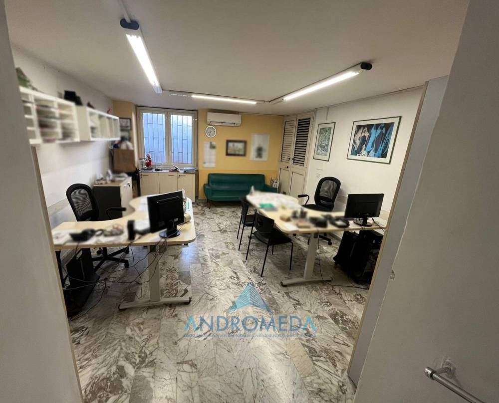 immagine annuncio 9 di 13