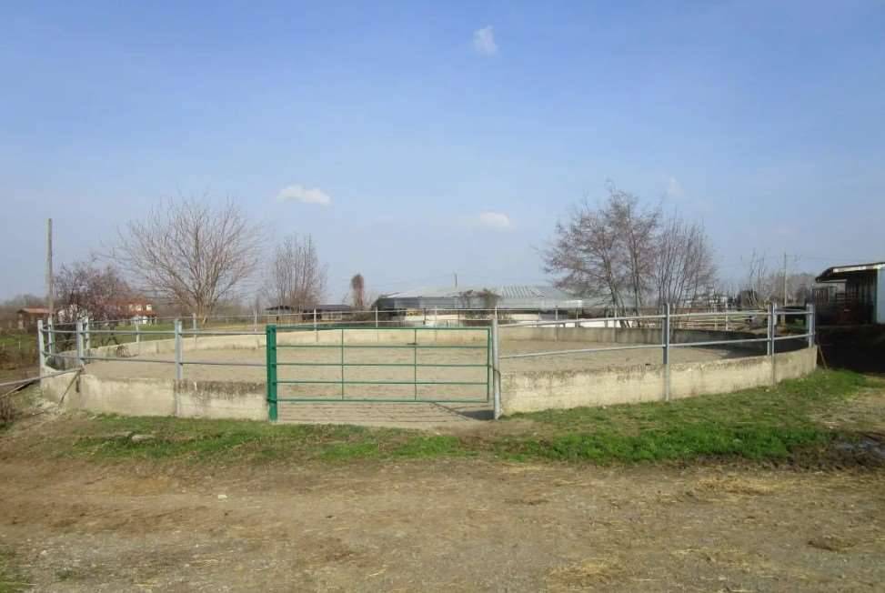 immagine annuncio 5 di 13