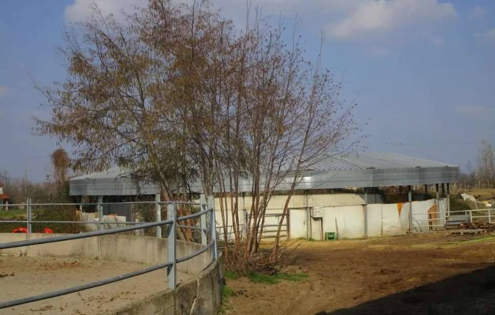 immagine annuncio 6 di 13