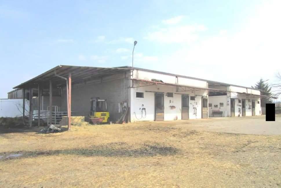 immagine annuncio 8 di 13