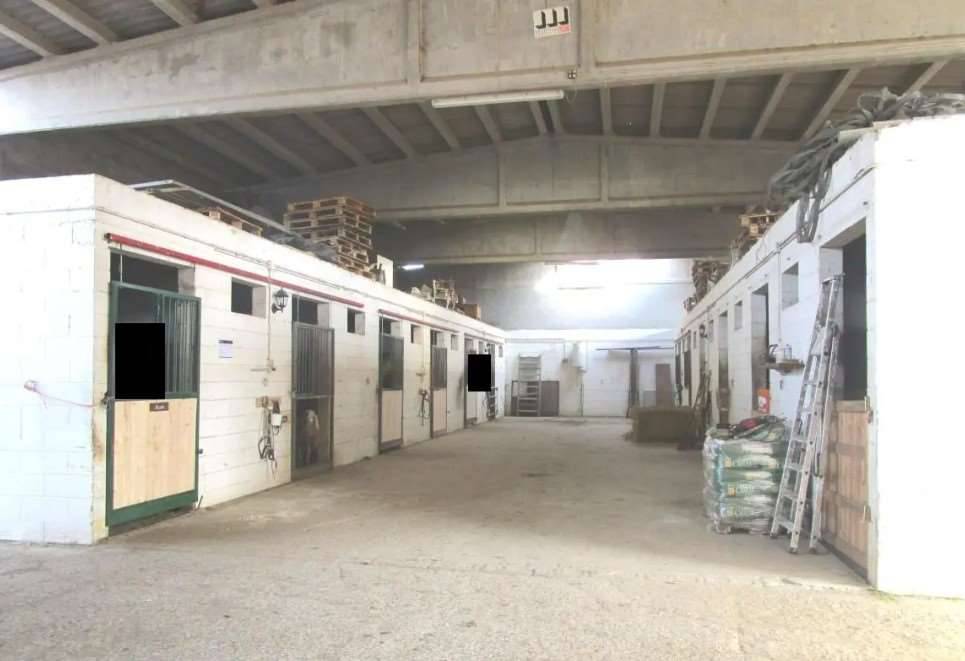 immagine annuncio 9 di 13