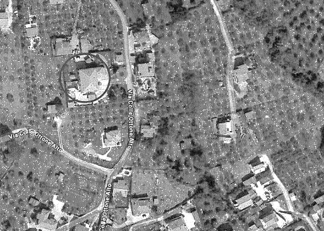 immagine annuncio 7 di 13