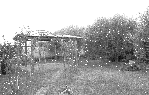 immagine annuncio 2 di 13