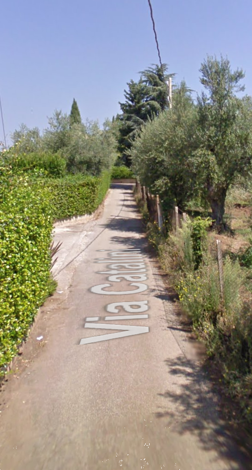 immagine annuncio 7 di 13