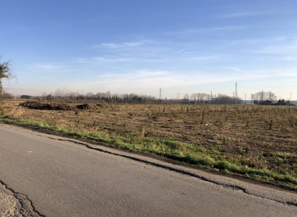 immagine annuncio 2 di 13