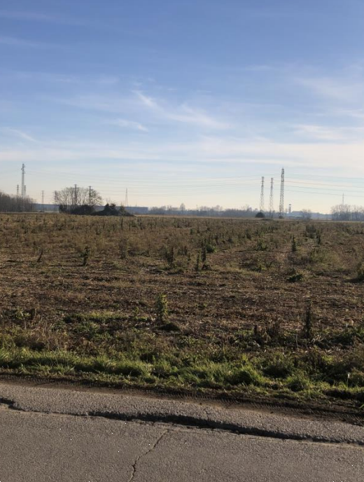 immagine annuncio 3 di 13