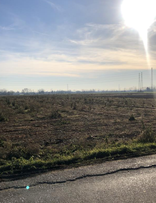 immagine annuncio 4 di 13