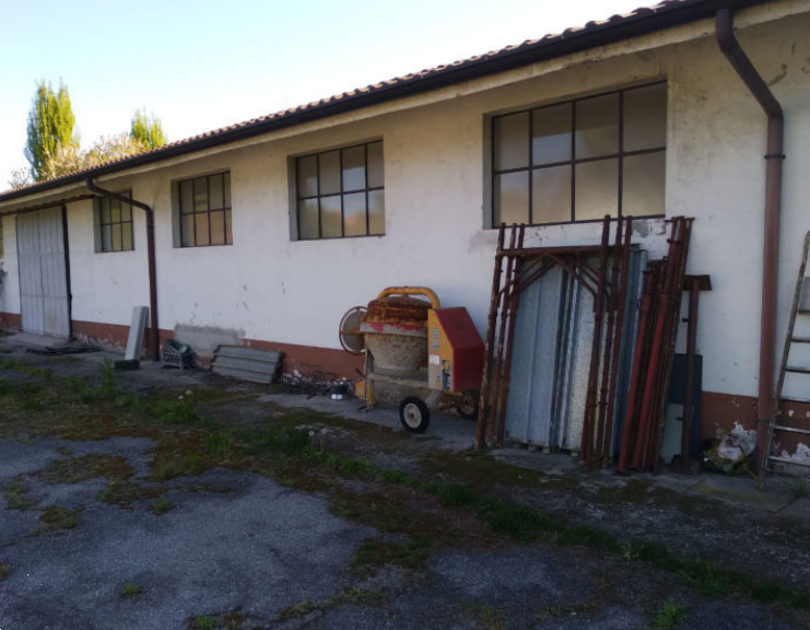 immagine annuncio 1 di 13