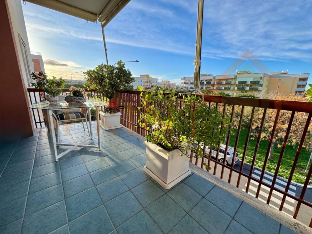 immagine annuncio 4 di 13