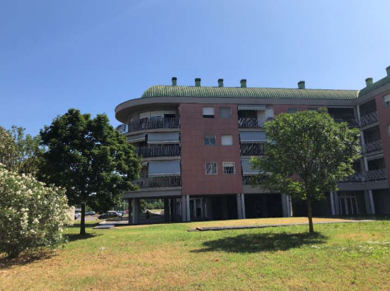 immagine annuncio 6 di 13