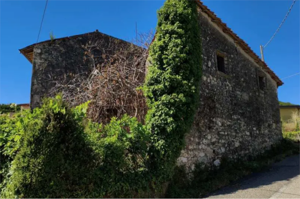 immagine annuncio 2 di 13