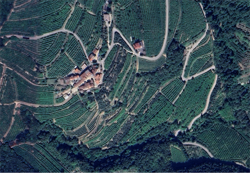 immagine annuncio 12 di 13