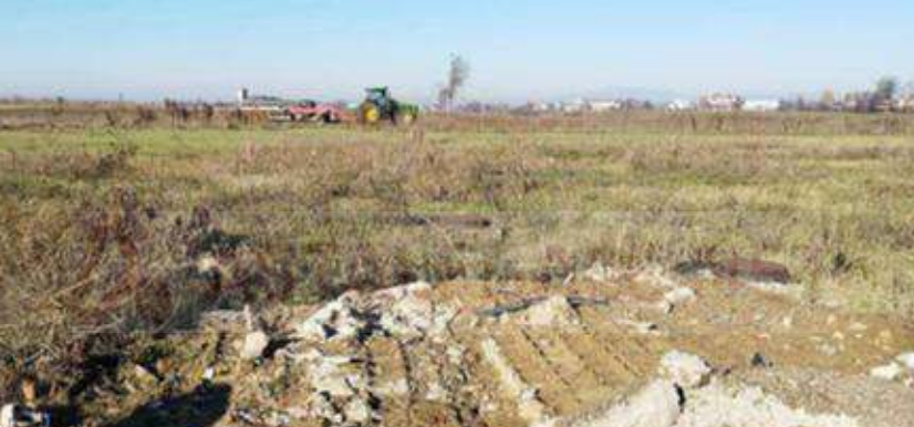 immagine annuncio 1 di 13