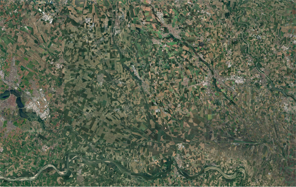 immagine annuncio 12 di 13