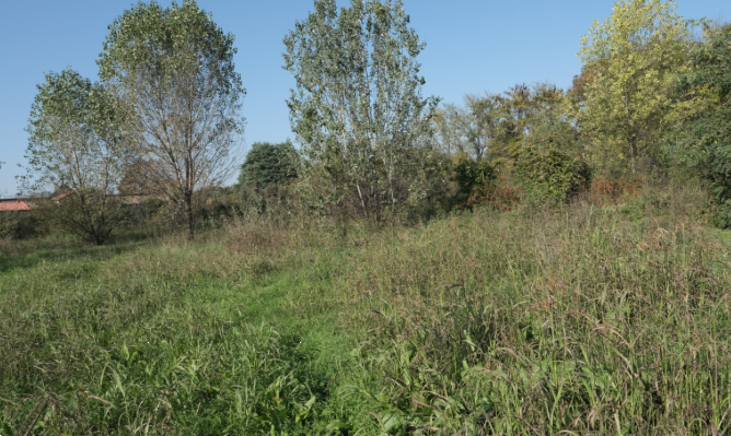 immagine annuncio 1 di 13