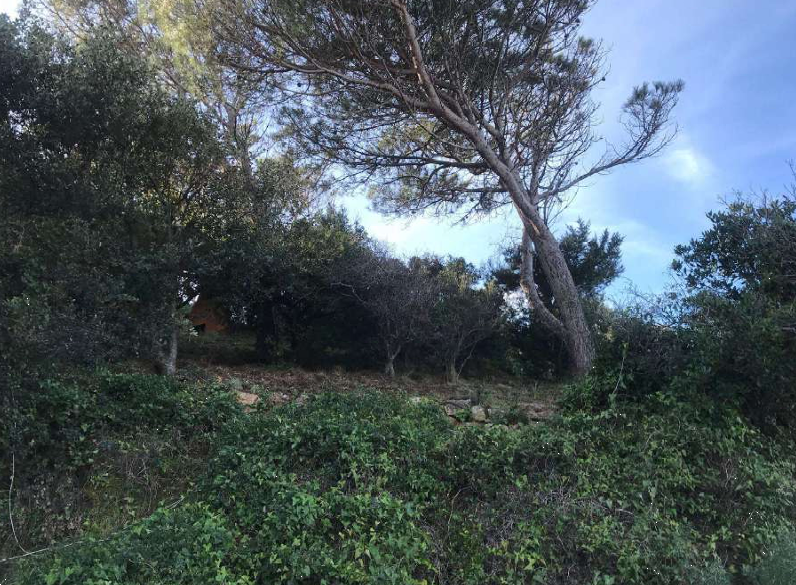 immagine annuncio 7 di 13