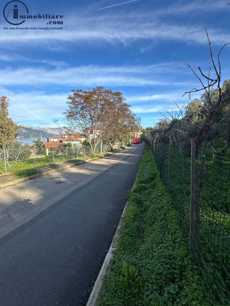 immagine annuncio 2 di 8