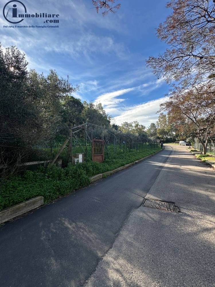 immagine annuncio 3 di 8