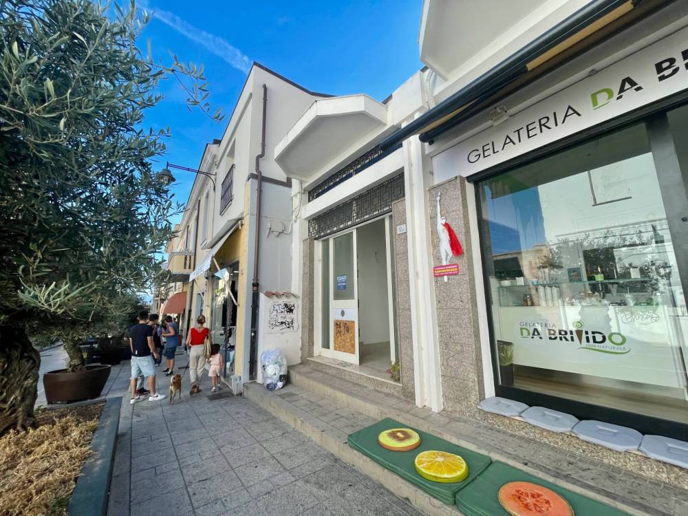 immagine annuncio 3 di 13